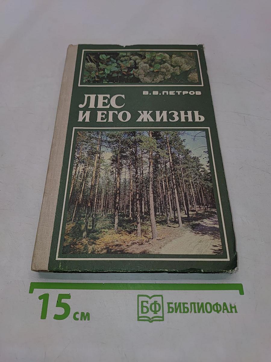 Лес и его жизнь