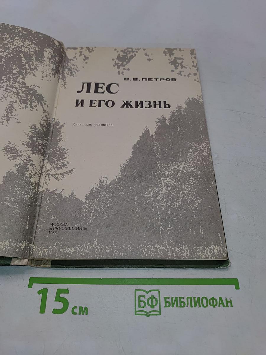 Лес и его жизнь