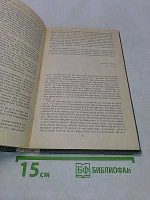 Лес и его жизнь