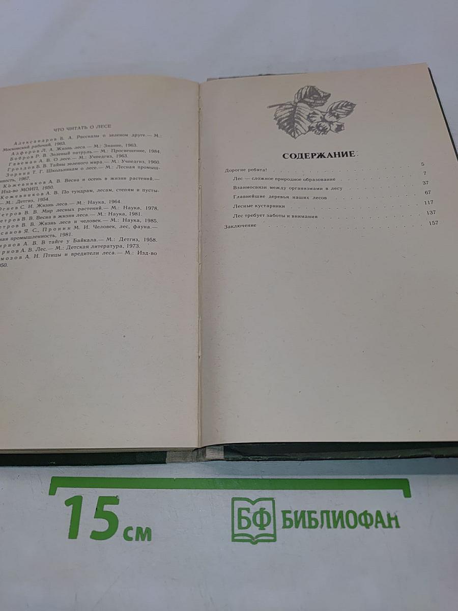 Лес и его жизнь