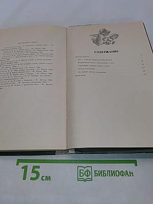 Лес и его жизнь