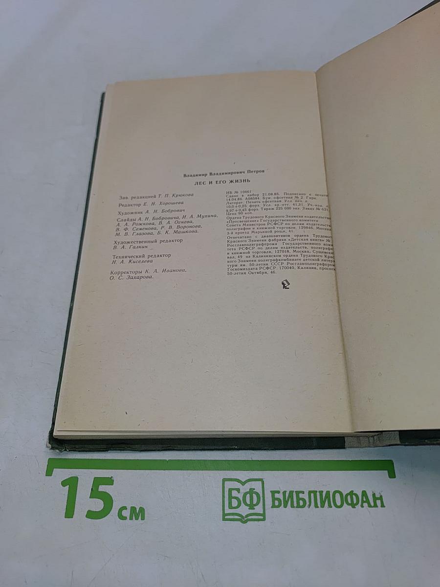 Лес и его жизнь