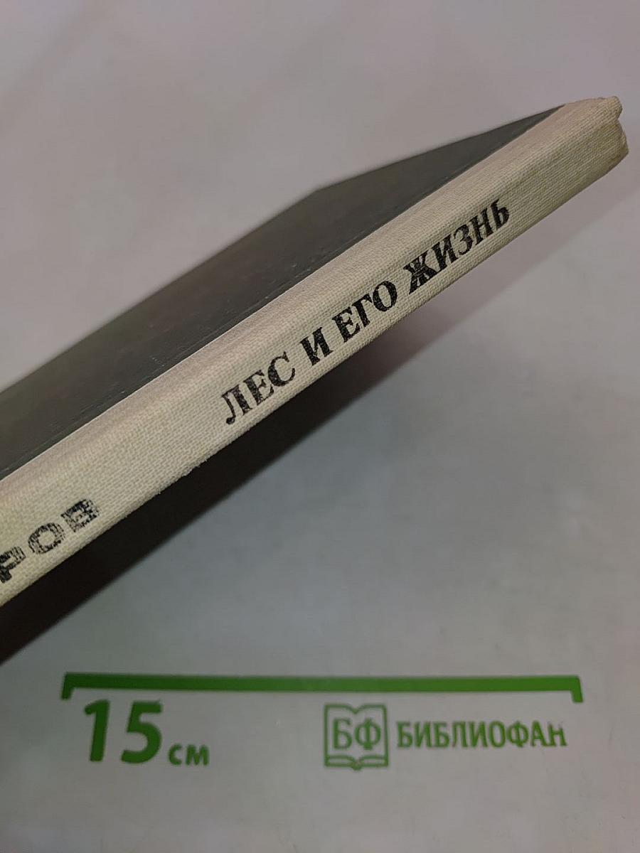 Лес и его жизнь