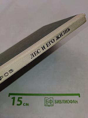 Лес и его жизнь