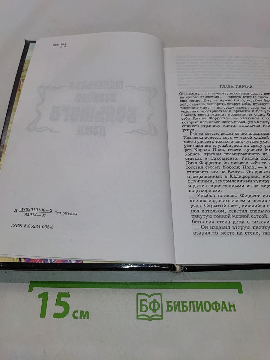 Бюро убийц с ограниченной ответственностью. Маленькая хозяйка большого дома