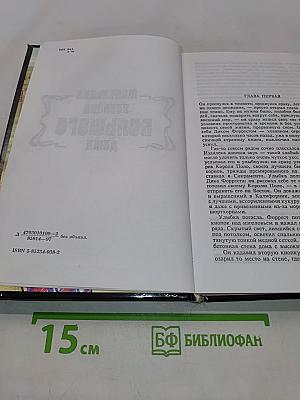 Бюро убийц с ограниченной ответственностью. Маленькая хозяйка большого дома