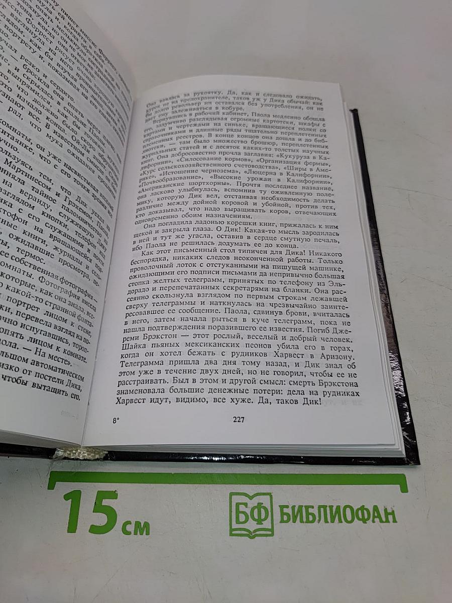 Бюро убийц с ограниченной ответственностью. Маленькая хозяйка большого дома