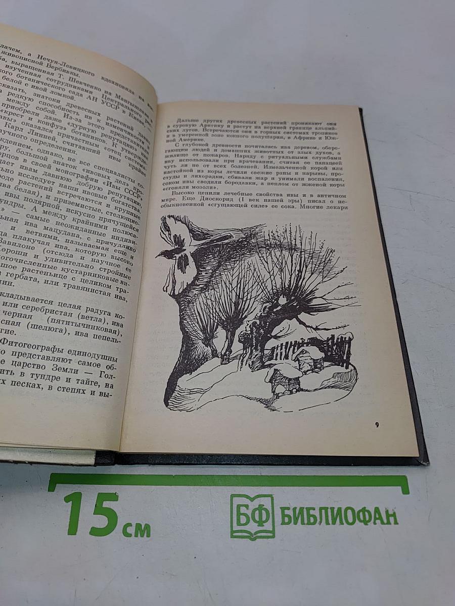 Занимательно о фитогеографии