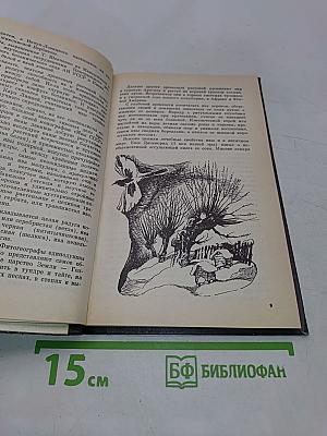 Занимательно о фитогеографии