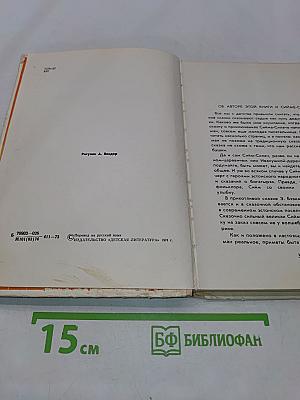 Симм-Силач