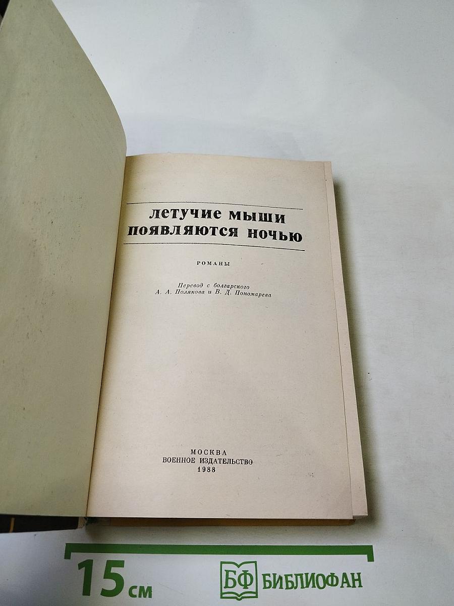 Летучие мыши появляются ночью