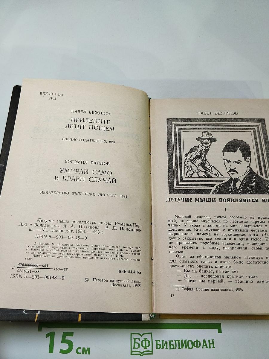 Летучие мыши появляются ночью