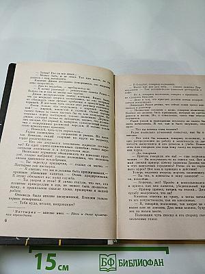 Летучие мыши появляются ночью