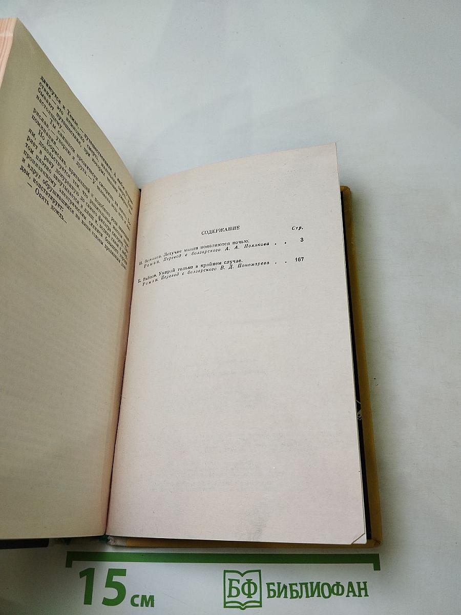 Летучие мыши появляются ночью