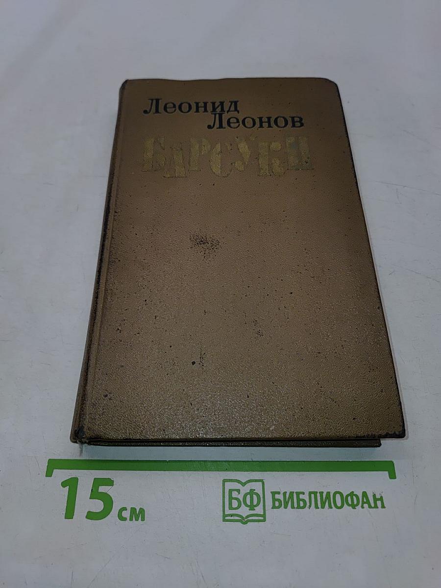Барсуки