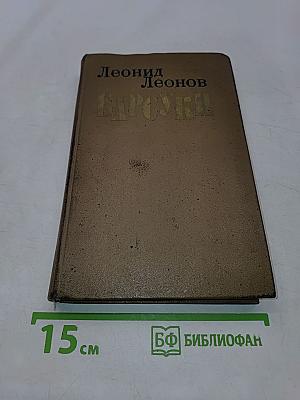 Барсуки