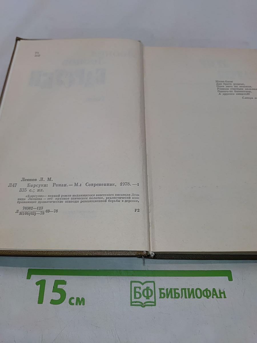 Барсуки