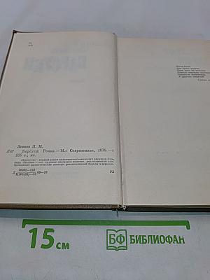 Барсуки