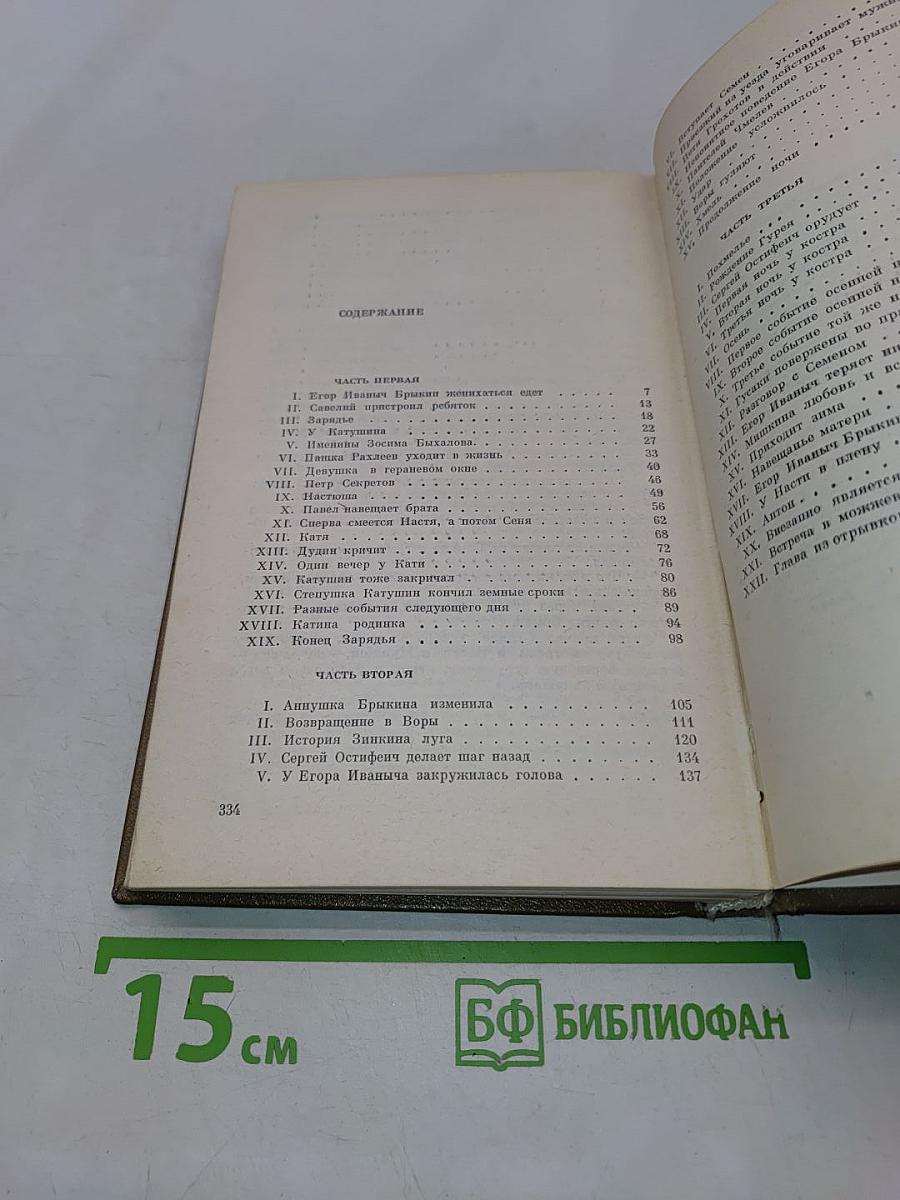 Барсуки