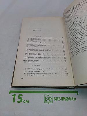Барсуки