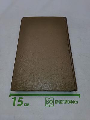 Барсуки