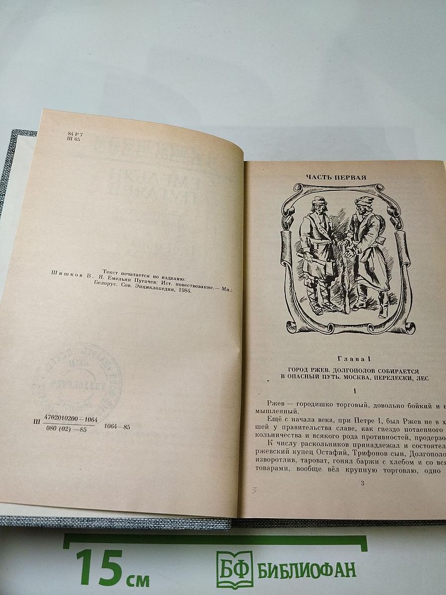 Емельян Пугачев. Книга третья