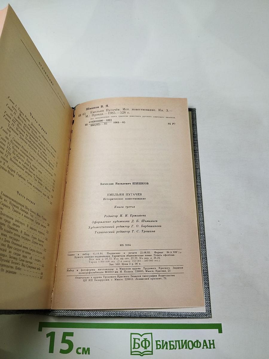 Емельян Пугачев. Книга третья