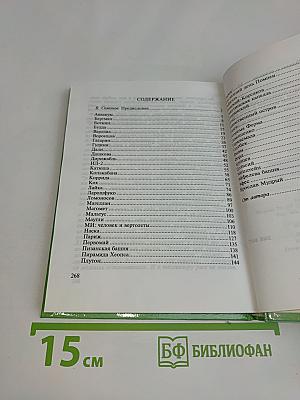 Этюды о великом