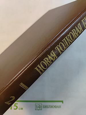 Новая толковая Библия. Том 2