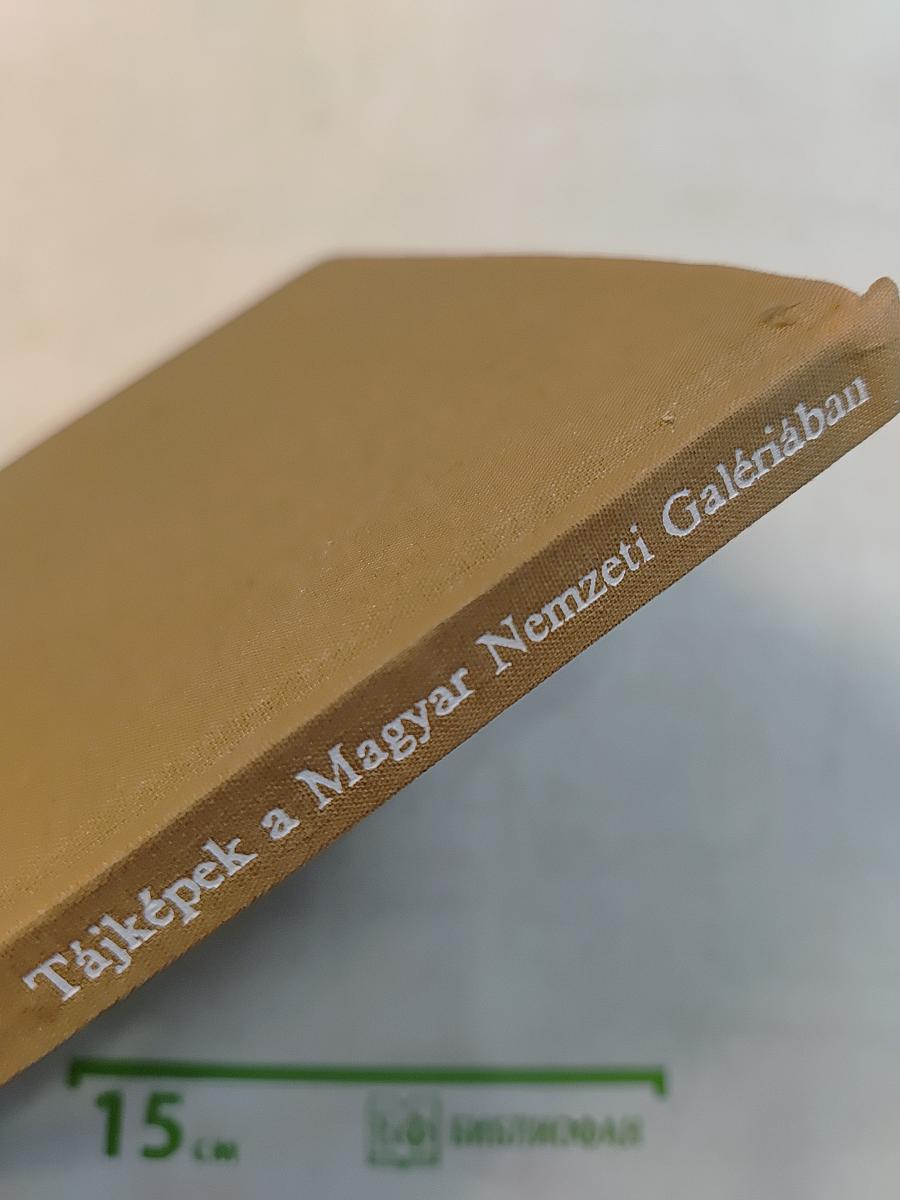 Tájképek a Magyar Nemzeti Galériában