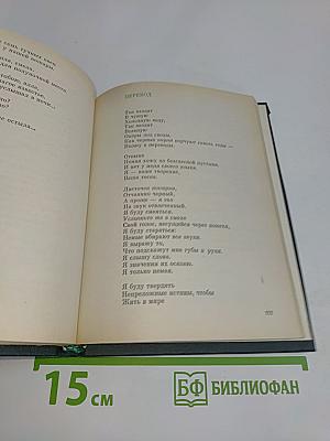 Тень яблони