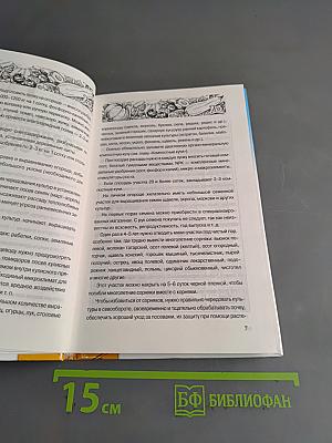 Чудо-огород. Богатый урожай соседям на зависть