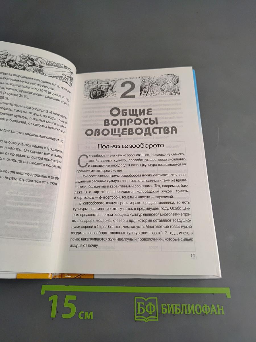 Чудо-огород. Богатый урожай соседям на зависть