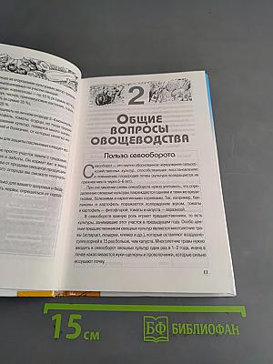 Чудо-огород. Богатый урожай соседям на зависть