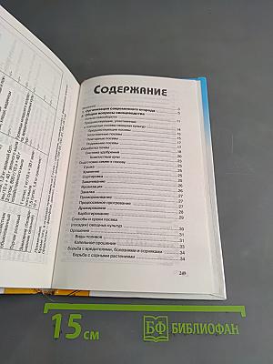 Чудо-огород. Богатый урожай соседям на зависть