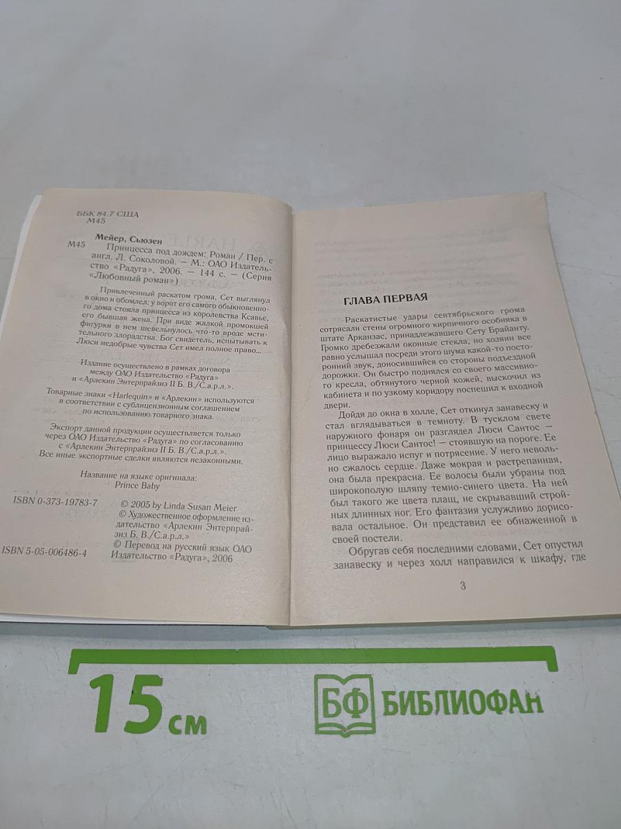 Принцесса под дождем