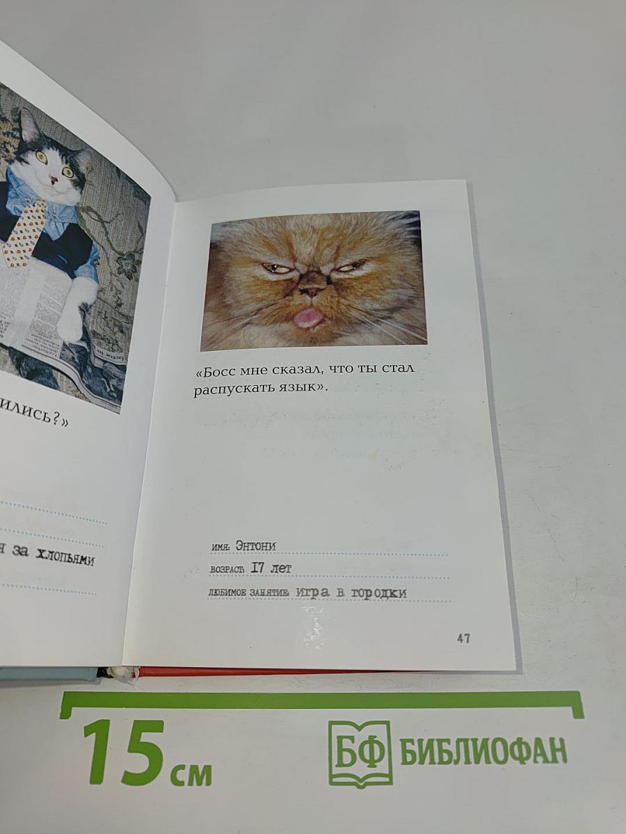 Вредная кошка