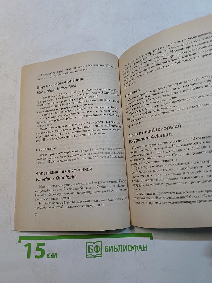 Как достичь оптимального уровня здоровья