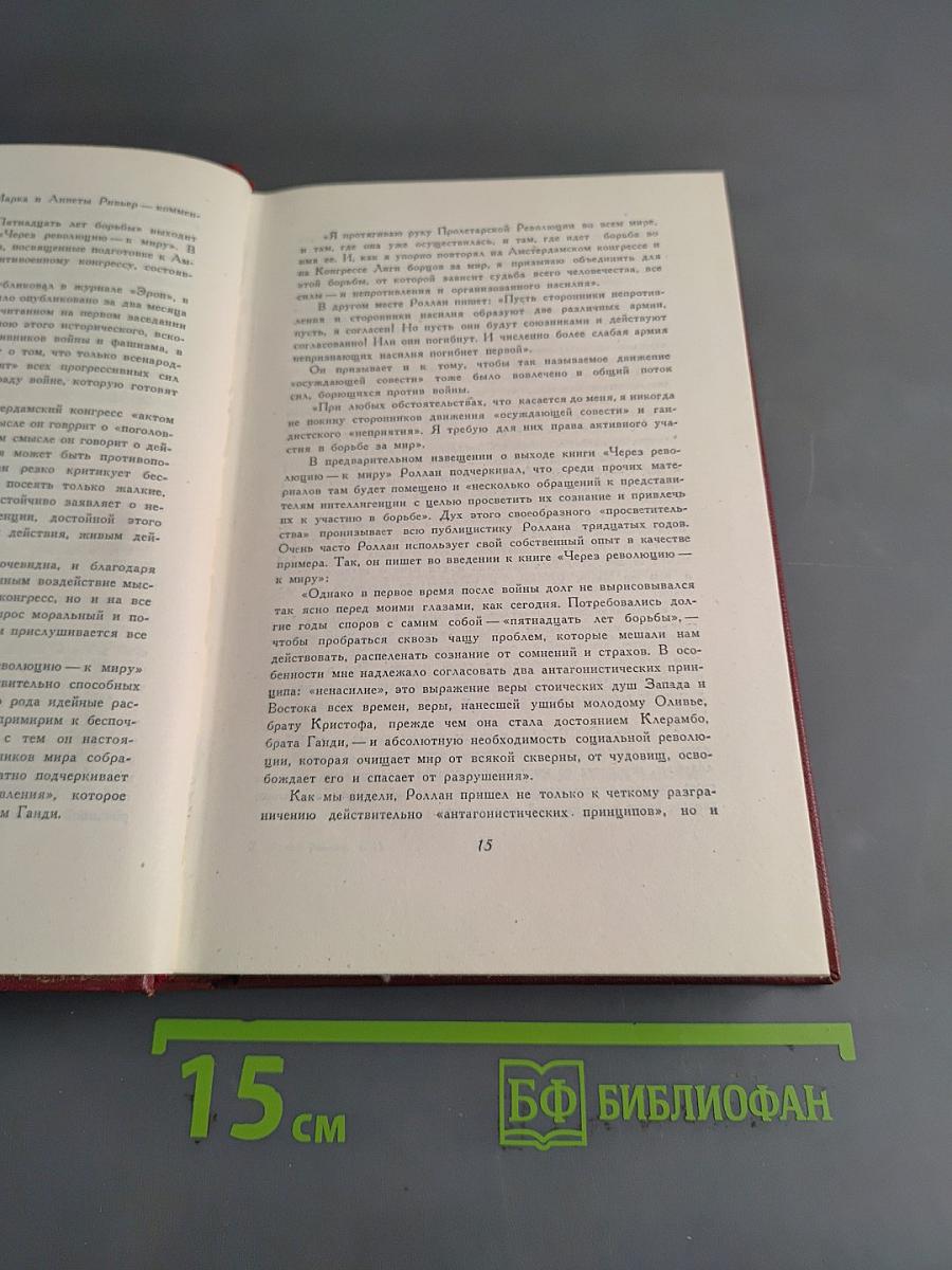 Собрание сочинений. Том тринадцатый. Публицистика (1917-1939)