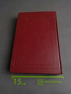 Собрание сочинений. Том тринадцатый. Публицистика (1917-1939)