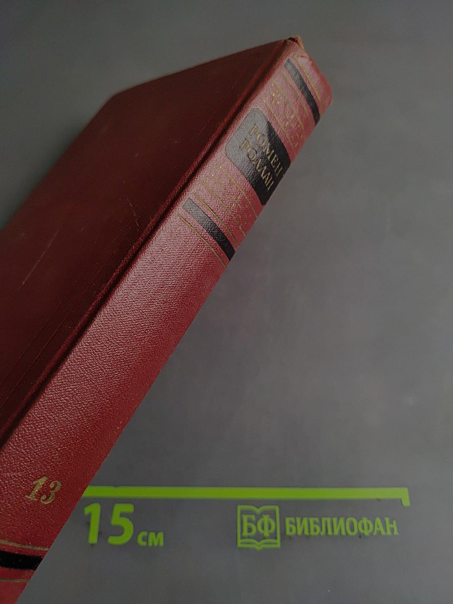 Собрание сочинений. Том тринадцатый. Публицистика (1917-1939)