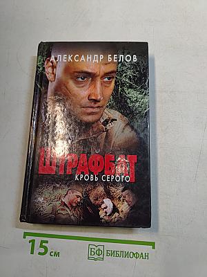 Штрафбат. Кровь Серого