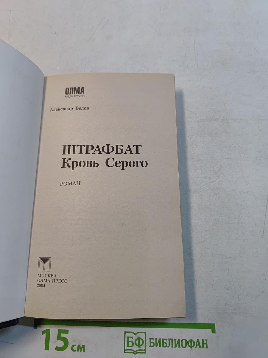 Штрафбат. Кровь Серого