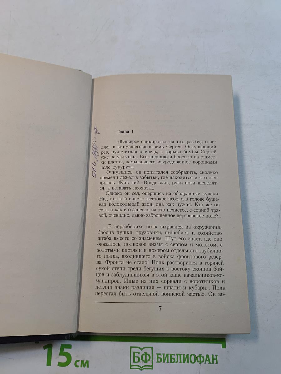 Штрафбат. Кровь Серого