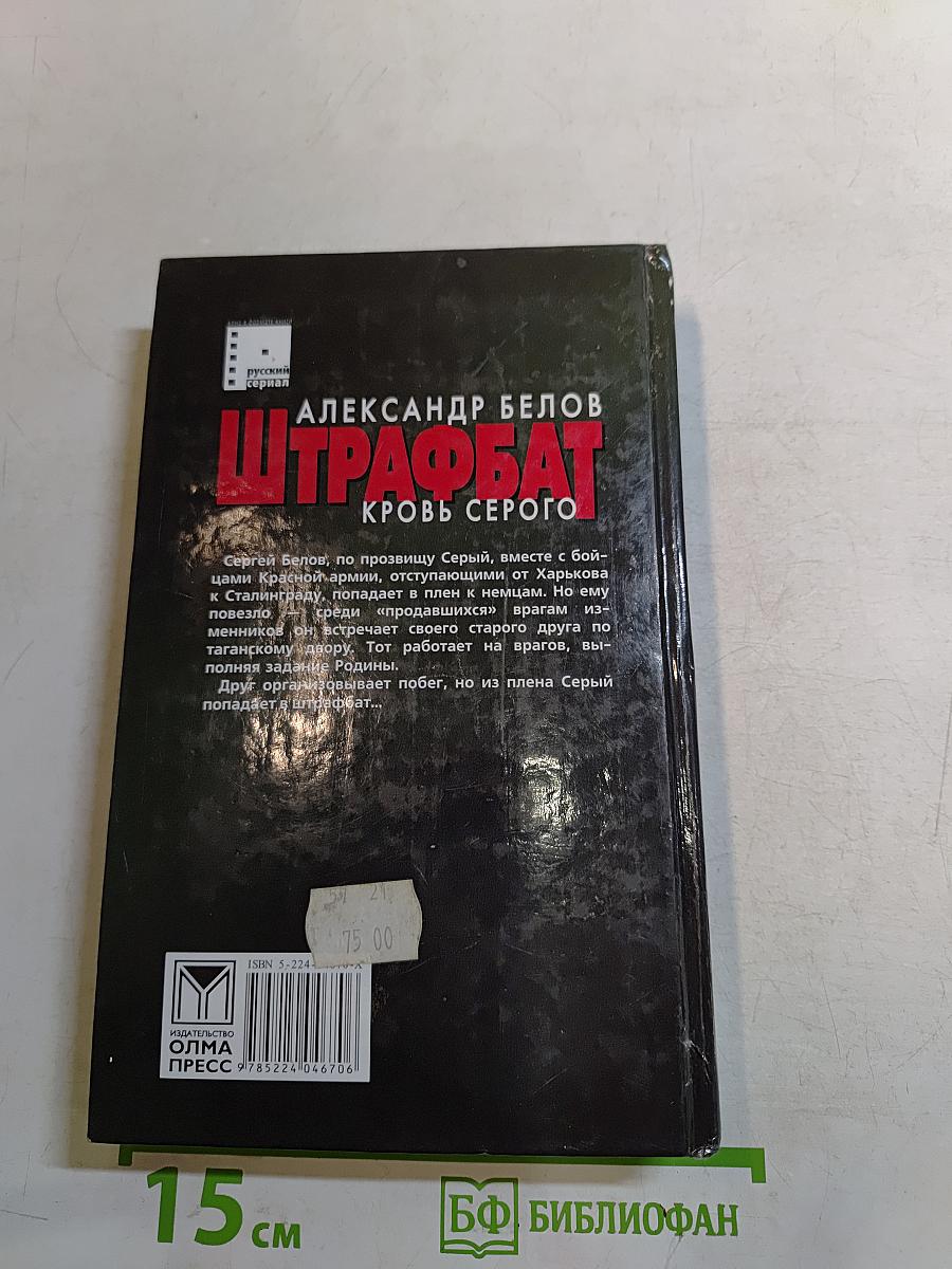 Штрафбат. Кровь Серого
