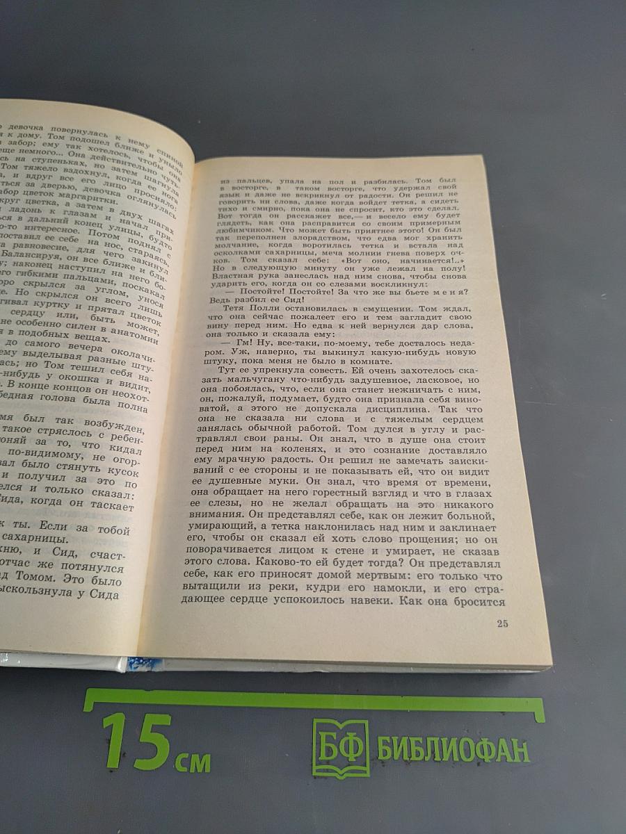 Приключения Тома Сойера и Гекльберри Финна