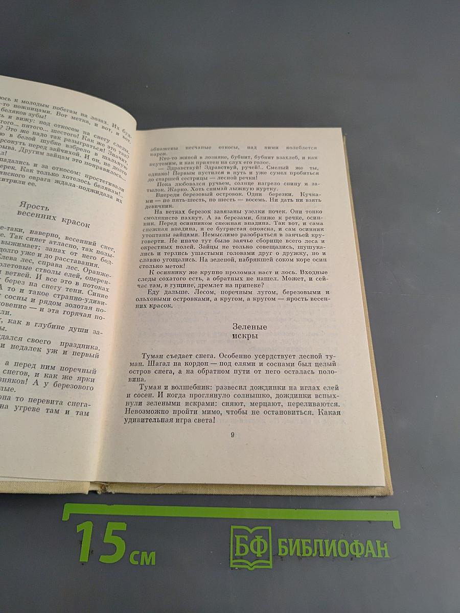 Нелидовский ключ
