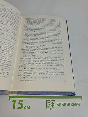 Рассказы литературоведа