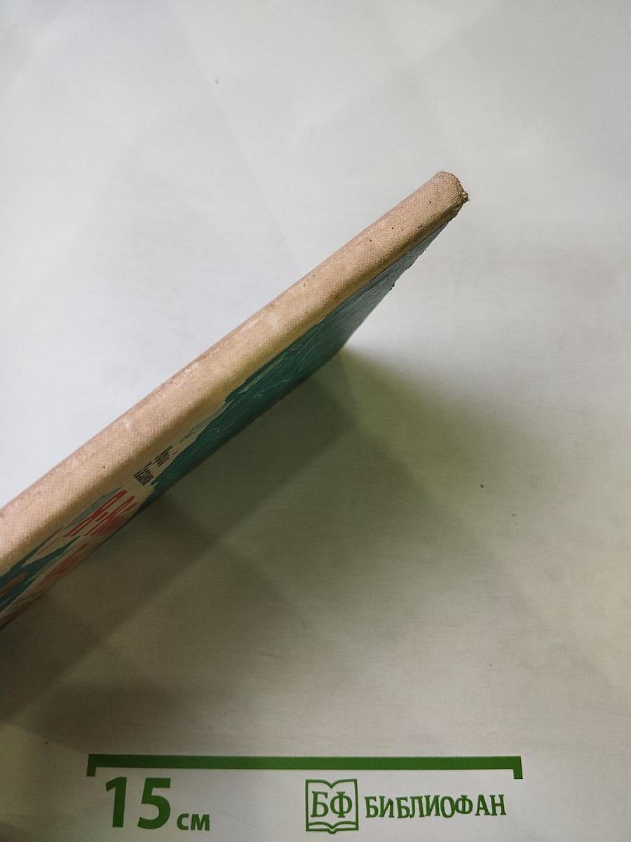 Я – Робин Гуд