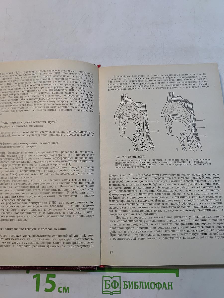 Пульмонология. Справочное пособие